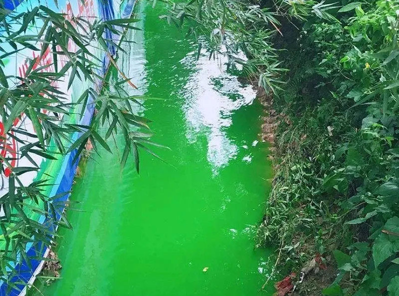 觸目驚心！水全都“染綠”了！多家企業被查處！