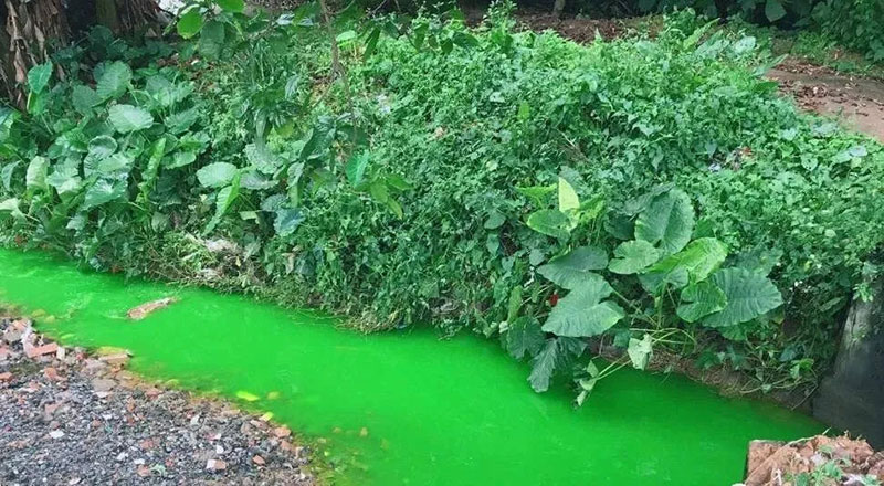 觸目驚心！水全都“染綠”了！多家企業被查處！