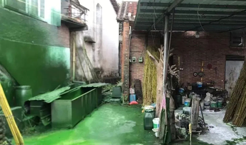 觸目驚心！水全都“染綠”了！多家企業被查處！